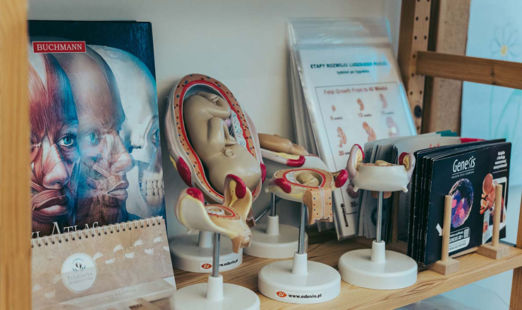 Szkoła Podstawowa Montessori Szczecin